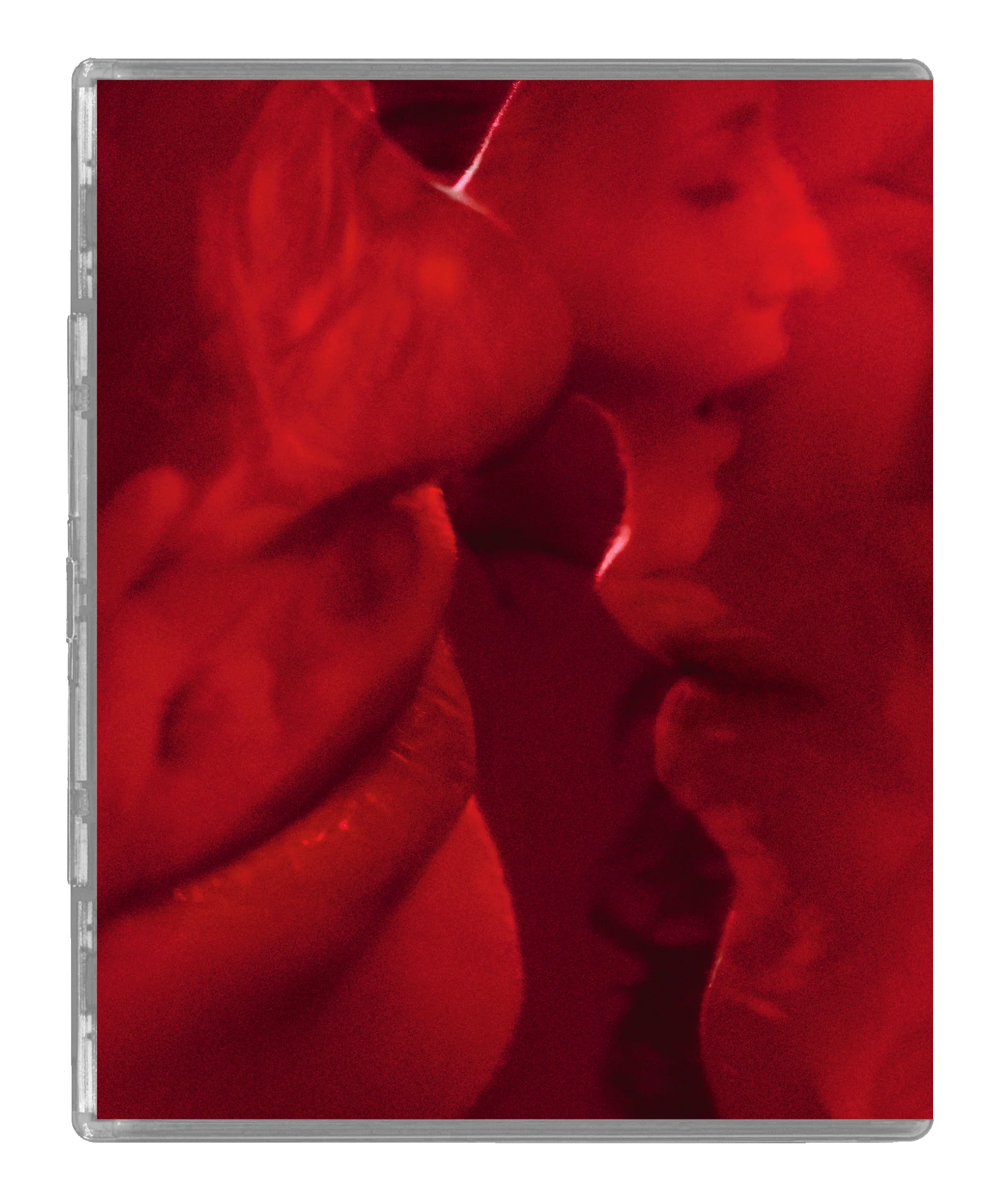 Daughters of Darkness (LE) - Image 7
