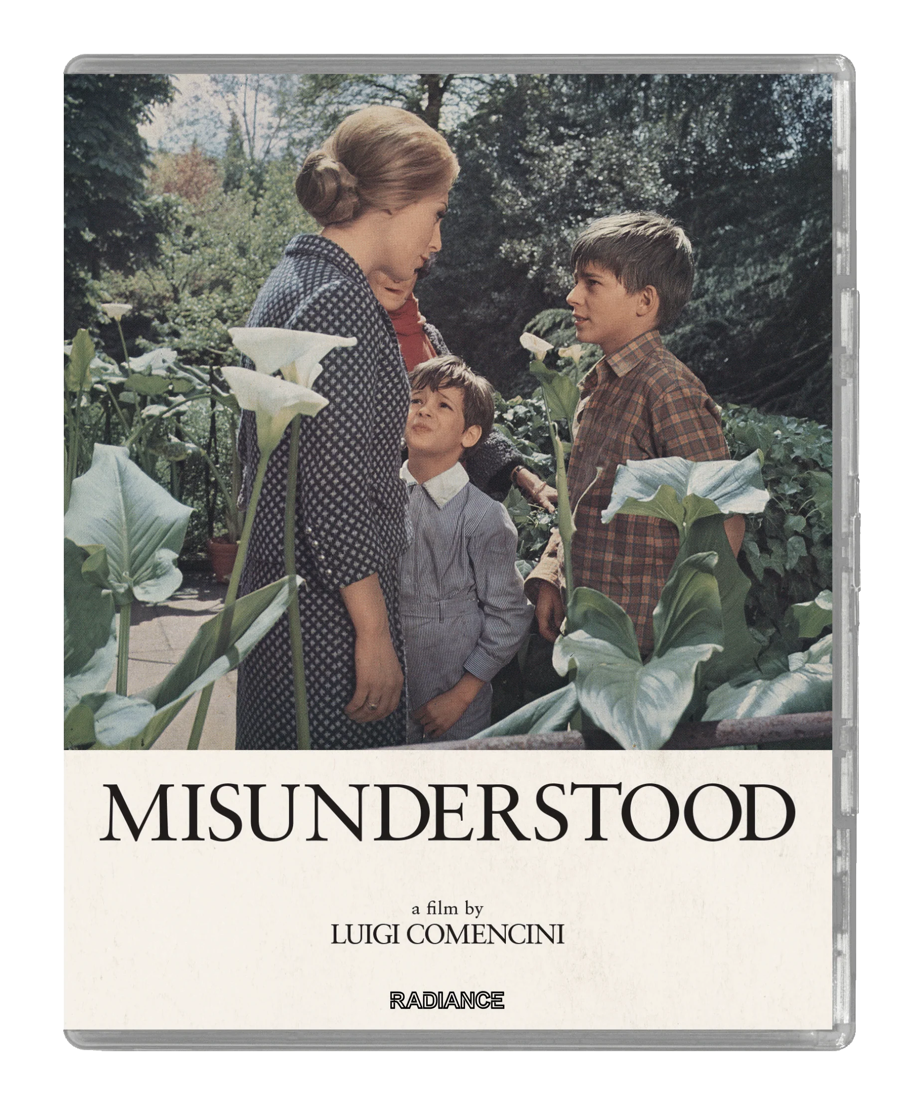 Misunderstood (LE) - Image 2