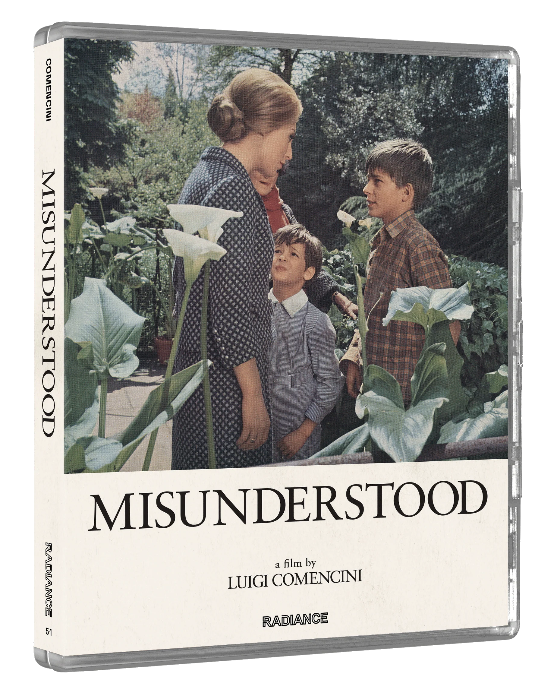 Misunderstood (LE) - Image 4